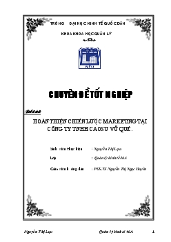 Hoàn thiện chiến lược Marketing tại Công ty TNHH cao su Vũ Quế