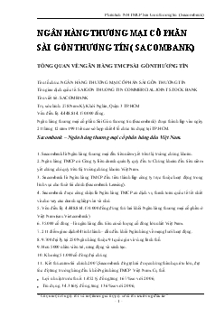 Phân tích Ngân hàng thương mại cổ phần Sài Gòn thương tín (Sacombank)