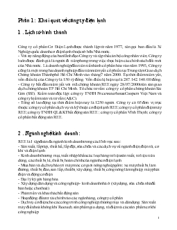 Báo cáo Phân tích tài chính của Công ty điện lạnh <tài chính>