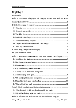 Báo cáo Thực tập tại Công ty TNHH Sản xuất và Kinh doanh Quốc tế TMC - Tổng quan