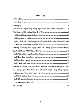 Báo cáo Thực tập tại Ngân hàng nông nghiệp và phát triển nông thôn (AgriBank) Việt Nam - Chi nhánh Nam Hà Nội