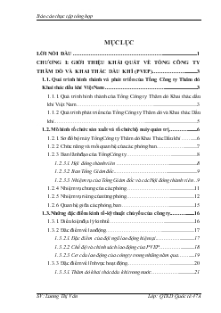Báo cáo Thực tập tại Tổng Công ty Thăm dò và Khai thác dầu khí Việt Nam