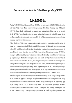Các cam kết về thuế khi Việt Nam hội nhập WTO
