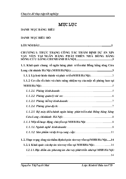 Công tác thẩm định dự án xin vay vốn tại ngân hàng NHPT Nhà Đồng bằng sông Cửu Long (MHB) - Chi nhánh Hà Nội: Thực trạng và giải pháp