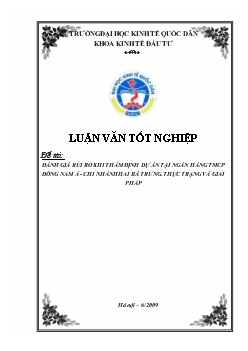 Đánh giá rủi ro khi thẩm định dự án tại Ngân hàng thương mại cổ phần Đông Nam Á (SeABank) - Chi nhánh Hai Bà Trưng. Thực trạng và giải pháp