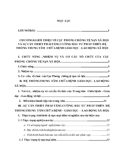 Đầu tư phát triển hệ thống Trung tâm Chữa bệnh - Giáo dục - Lao động xã hội. Thực trạng và giải pháp