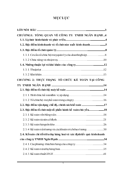 Kế toán tiêu thụ hàng hoá và xác định kết quả kinh doanh tại Công ty TNHH Ngân Hạnh