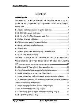 Một số giải pháp hoàn thiện công tác quản lý nguồn nhân lực tại Tổng Công ty Rau quả, nông sản