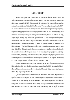Một số giải pháp nhằm tăng cường thu hút nguồn vốn FDI vào các khu công nghiệp ở Thái Bình gđ 2009 -2015