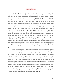 Nâng cao chất lượng tín dụng Doanh nghiệp vừa và nhỏ tại Ngân hàng thương mại cổ phần các Doanh nghiệp Ngoài Quốc doanh (VPBank)