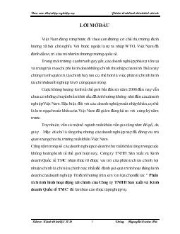 Phân tích tình hình hoạt động tài chính của Công ty TNHH Sản xuất và Kinh doanh Quốc tế TMC - Nghiệp vụ