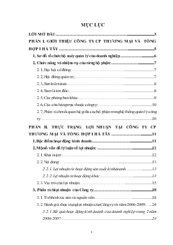 Phân tích tình hình lợi nhuận tại Công ty cổ phần Thương mại và tổng hợp 1 Hà Tây