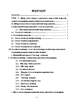Sức cạnh tranh và các giải pháp nâng cao sức cạnh tranh của Công ty may xuất khẩu trong thị trường quốc tế