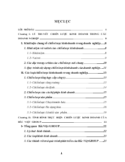 Tình hình thực hiện chiến lược kinh doanh của Bắc Việt GROUP trong giai đoạn 2005-2008