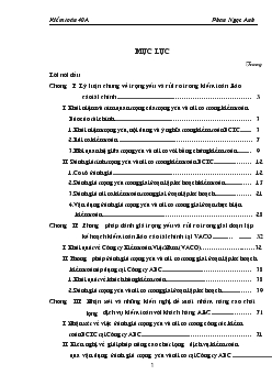 Báo cáo Hoàn thiện quy trình đánh giá trọng yếu và rủi ro trong giai đoạn lập kế hoạch kiểm toán tài chính tại Công ty Kiểm toán Việt Nam