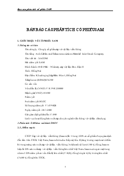 Báo cáo Phân tích cổ phiếu SAM <ngắn hạn>