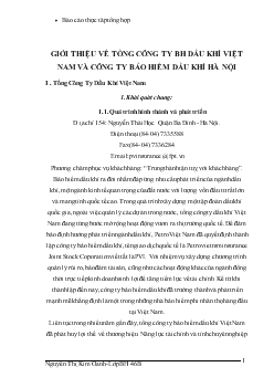 Báo cáo Thực tập tại Tổng Công ty Dầu Khí Việt Nam