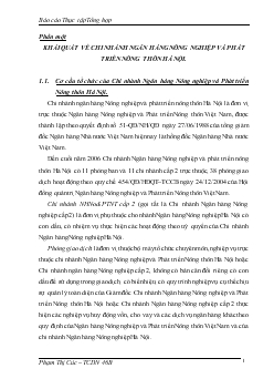 Báo cáo Thực tập tại Chi nhánh Ngân hàng nông nghiệp và phát triển nông thôn (AgriBank) Hà Nội