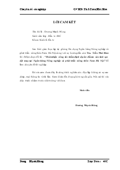 Hoàn thiện công tác thẩm định dự án đầu tư vào lĩnh vực dệt may tại Ngân hàng nông nghiệp và phát triển nông thôn (AgriBank) Nam Hà Nội