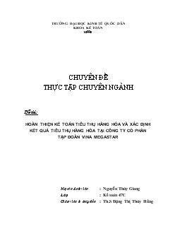 Kế toán tiêu thụ hàng hoá và xác định kết quả tiêu thụ hàng hoá tại Công ty cổ phần tập đoàn Vina Megastar (nhật ký chung - Ko lý luận - máy)