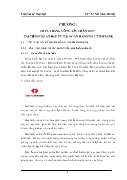 Một số giải phấp nhằm nâng cao chất lượng công tác thẩm định tài chính dự án đầu tư tại Ngân hàng thương mại cổ phần kỹ thương Techcombank