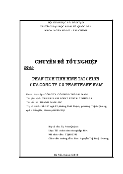 Phân tích tình hình tài chính của Công ty cổ phần Thành Nam