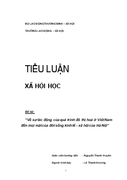 Về sự tác động của quá trình đô thị hoá ở Việt Nam đến mọi mặt của đời sống kinh tế - Xã hội của Hà Nội (xã hội học)