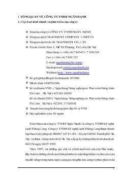 Báo cáo Thực tập tại Công ty TNHH Ngân Hạnh