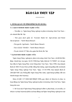 Báo cáo Thực tập tại Ngân hàng nông nghiệp và phát triển nông thôn (AgriBank) Việt Nam - Chi nhánh Bắc Hà Nội