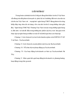 Báo cáo Thực tập tại Ngân hàng thương mại cổ phần Kỹ Thương (TechcomBank) Việt Nam