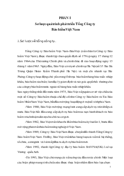 Báo cáo Thực tập tại Tổng Công ty Bảo hiểm Việt Nam