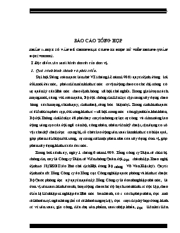 Báo cáo Tổng hợp về đặc điểm và tình hình thực tế tổ chức công tác kế toán tại Công ty vietel