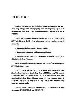 Báo cáo Tổng hợp về lĩnh vực hoạt động; cơ cấu tổ chức ;năng lực thiết bị của Công ty cơ giới, lắp máy và xây dựng của Công ty cơ giới, lắp máy và xây dựng