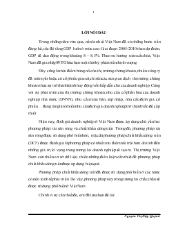 Ứng dụng phương pháp chiết khấu dòng tiền trong định giá Công ty cổ phần BIBICA