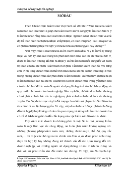 Báo cáo Hoàn thiện kiểm toán khoản mục doanh thu trong kiểm toán tài chính do Công ty Hợp danh Kiểm toán Việt Nam thực hiện