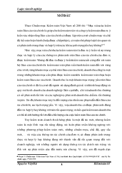 Báo cáo Hoàn thiện kiểm toán khoản mục doanh thu trong kiểm toán tài chính do Công ty Hợp danh Kiểm toán Việt Nam thực hiện