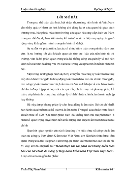 Báo cáo Hoàn thiện thủ tục phân tích trong kiểm toán tài chính do Công ty Hợp danh Kiểm toán Việt Nam thực hiện