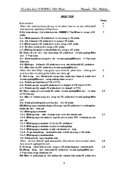 Cổ phần hóa (Cổ phần hóa)