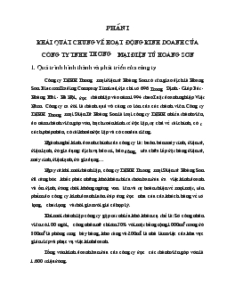 Hoạt động kinh doanh tại Công ty điện tử hoàng Sơn