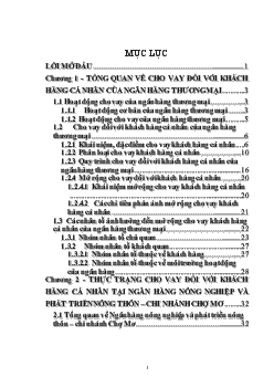 Mở rộng cho vay đối với khách hàng cá nhân tại Ngân hàng nông nghiệp và phát triển nông thôn – chi nhánh Chợ Mơ