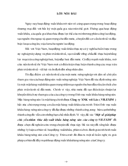 Một số giải pháp chủ yếu nhằm thúc đẩy xuất khẩu hàng nông sản của công ty VILEXIM
