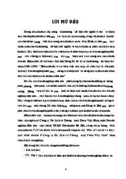 Một số vấn đề về hiệu quả kinh doanh ở Công ty Du lịch & Thương mại Than Việt Nam