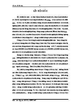 Nâng cao khả năng cạnh tranh của Công ty cao su Sao Vàng