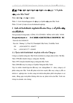 Phân tích tình hình tài chính của Công ty Cổ phần nông sản Bắc Ninh
