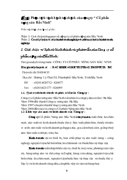 Phân tích tình hình tài chính của Công ty Cổ phần nông sản Bắc Ninh
