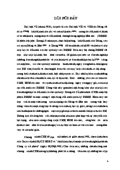 Thực trạng & Giải pháp của chương trình Cổ phần hóa ở nước ta