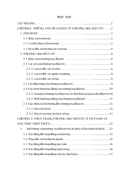 Thương mại điện tử & sự phát triển của nó ở Việt Nam