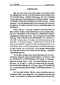 Việt Nam - Hoa Kì
