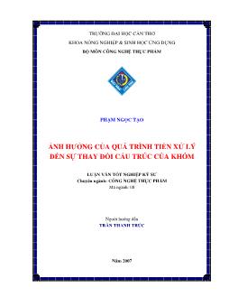 Ảnh hưởng của quá trình tiền xử lý đến sự thay đổi cấu trúc của khóm