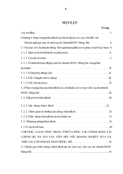 Công tác thẩm định tài chính dự án xin vay vốn đối với các doanh nghiệp vừa và nhỏ tại chi nhánh BIDV Đông Đô